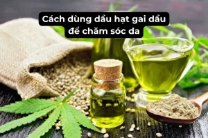 dau hat gai dau