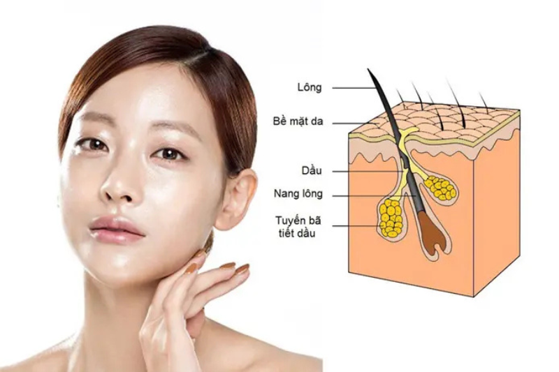 Cách phân biệt da khô và da thiếu nước là nhìn vào lượng dầu trên bề mặt da