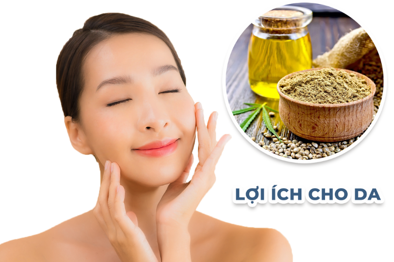 Dầu gai dầu chứa nhiều dưỡng chất giúp tái tạo và nuôi dưỡng làn da luôn mềm mại