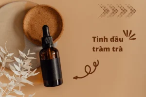 Hướng dẫn sử dụng tinh dầu tràm trà để chăm sóc làn da
