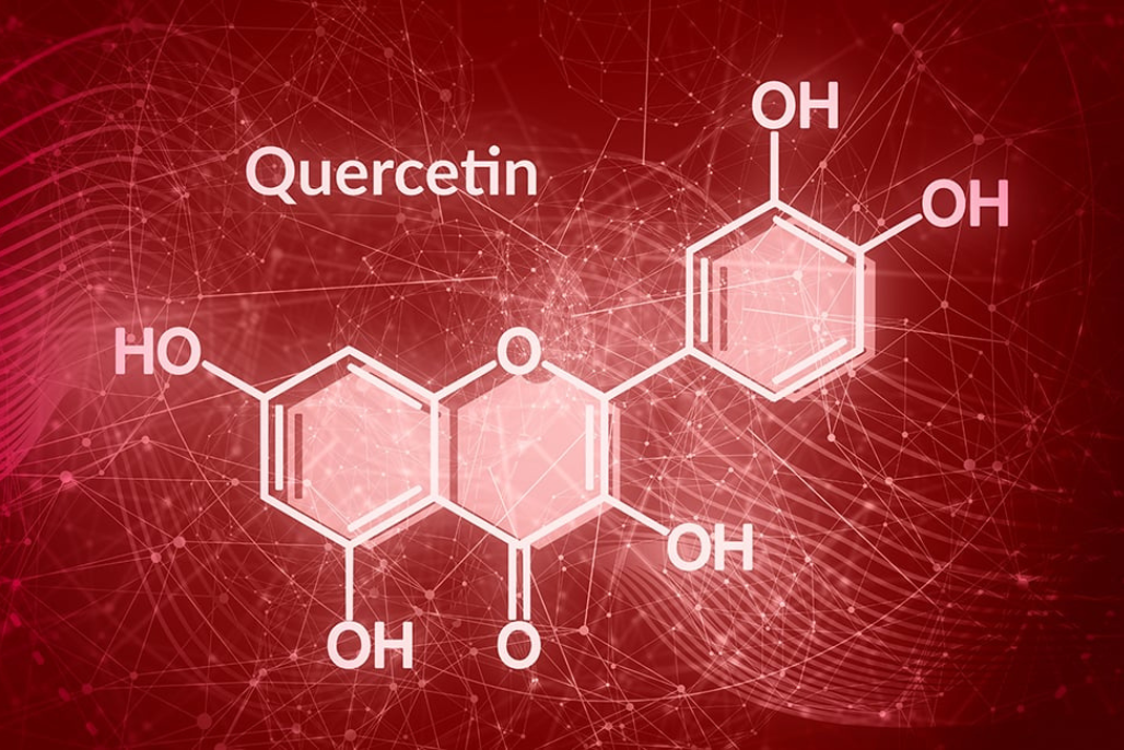 Quercetin la gi