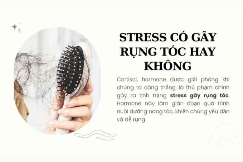 Nguyên nhân và dấu hiệu tình trạng rụng tóc do stress 1 Stress có gây rụng tóc không?