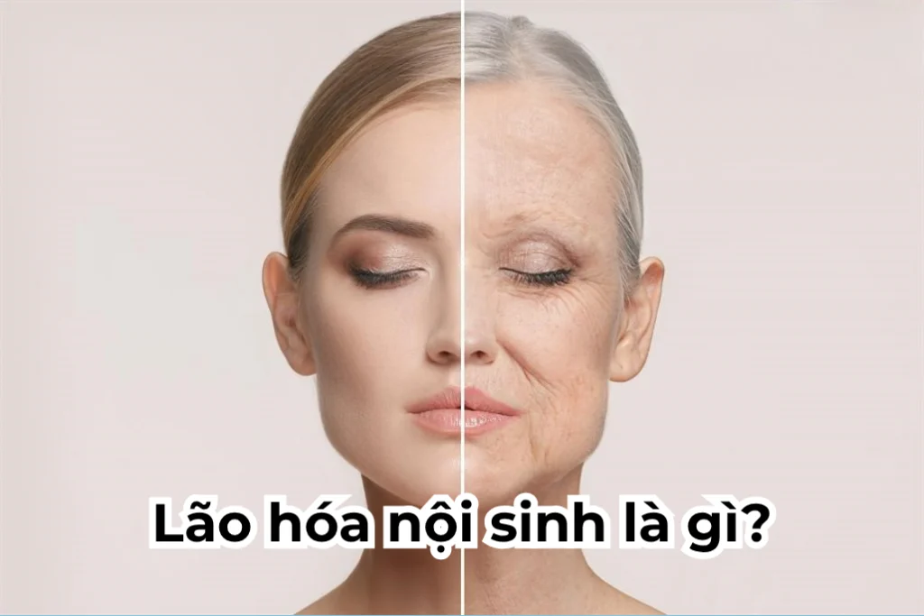 lao hoa noi sinh