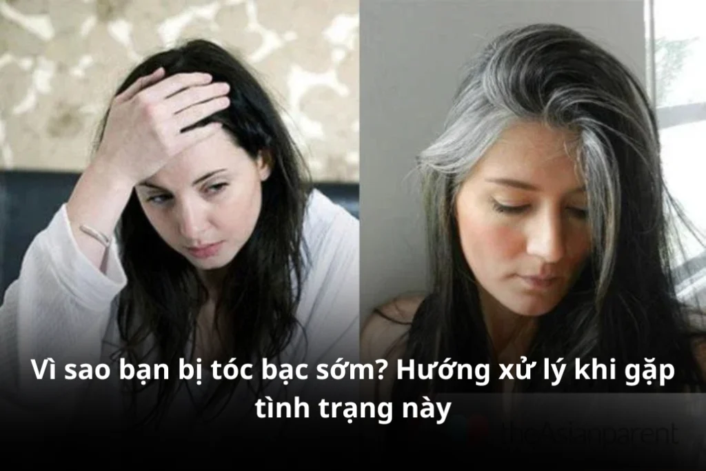 toc bac som