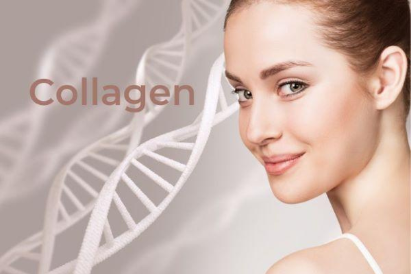 Collagen giúp làn da luôn được căng bóng, đàn hồi Collagen giúp làn da luôn được căng bóng, đàn hồi