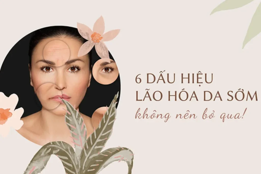 Dấu hiệu lão hóa sớm và những yếu tố khiến cơ thể xuống sức nhanh hơn