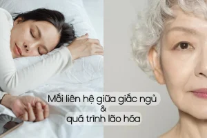 giac ngu va lao hoa