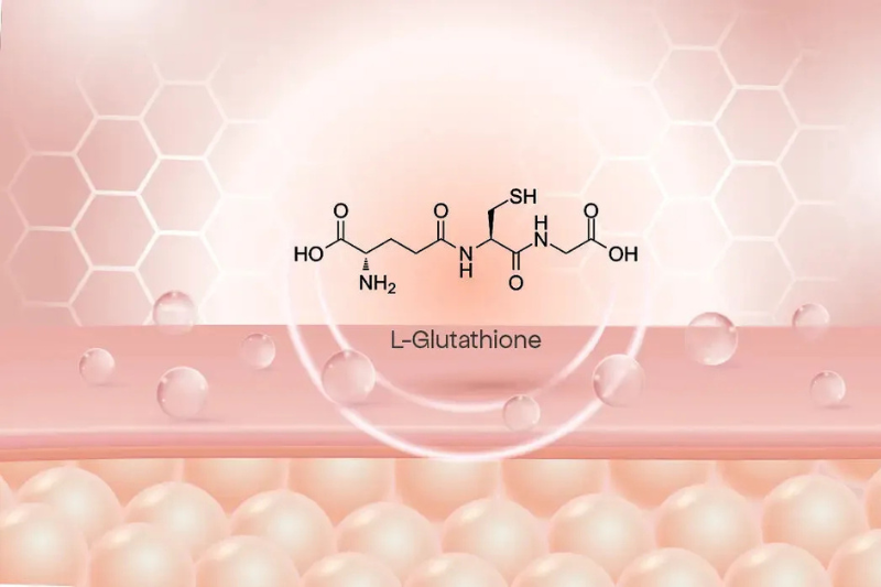 Tìm hiểu về sự phân bố của glutathione trong cơ thể 5 Glutathione được phân bố vào các cơ quan khác nhau tùy vào chức năng và nhu cầu chuyển hóa