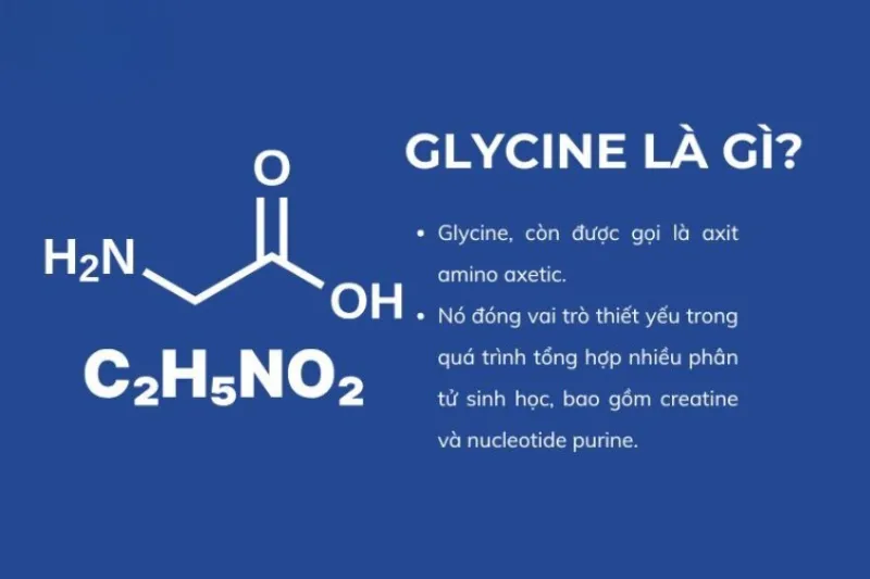 Glycine là gì?