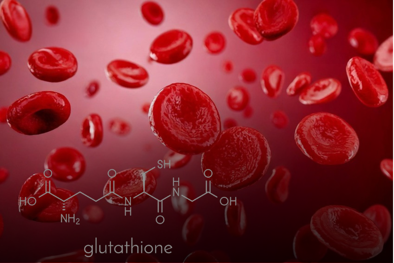 Tìm hiểu về sự phân bố của glutathione trong cơ thể 3 Glutathione giúp trung hòa gốc tự do bảo vệ màng tế bào hồng cầu