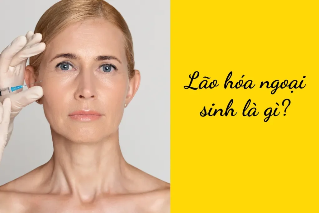 Lão hóa ngoại sinh là gì? Những yếu tố khiến da và cơ thể già nhanh hơn Lão hóa ngoại sinh là gì? Những yếu tố khiến da và cơ thể già nhanh hơn
