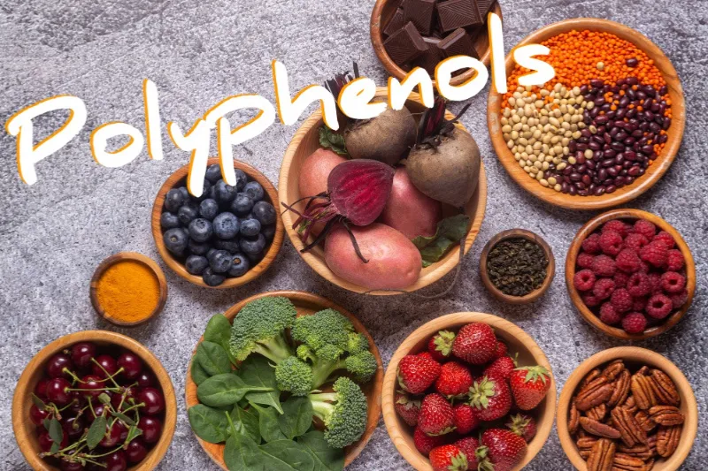 Vì sao nên bổ sung polyphenols từ thực phẩm?