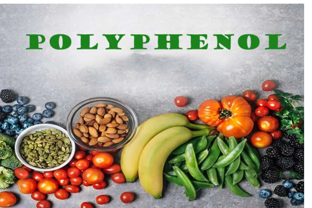 Những thực phẩm bổ sung polyphenols tự nhiên nên có trong bữa ăn