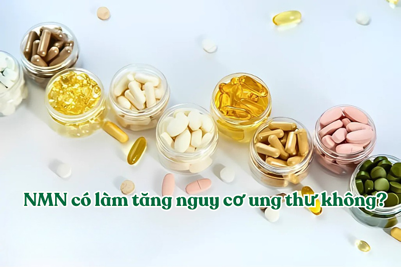 Bổ sung NMN có làm tăng nguy cơ ung thư không? 1 NMN có làm tăng nguy cơ ung thư không?