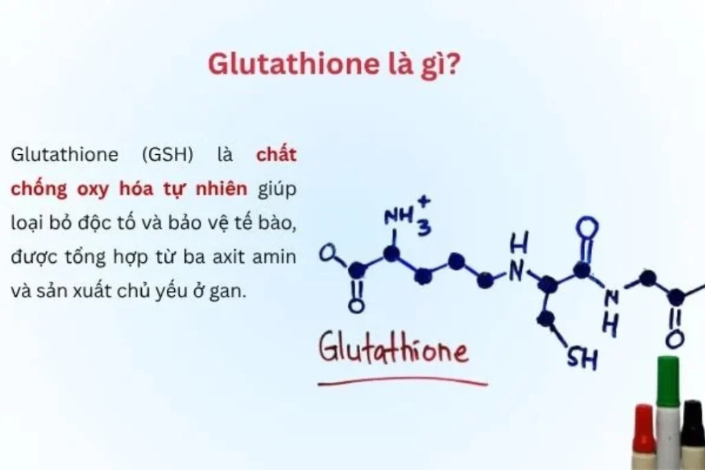 Quá trình tổng hợp glutathione của cơ thể diễn ra như thế nào?