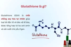 Quá trình tổng hợp glutathione của cơ thể diễn ra như thế nào?