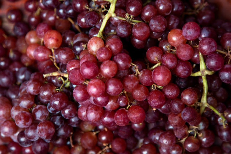 Trong vỏ nho đỏ cũng chứa nhiều Resveratrol
