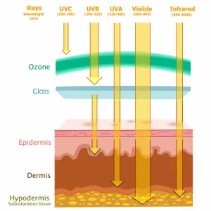 Các loại tia UV
