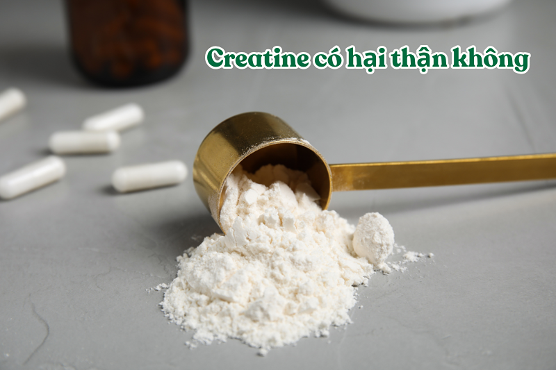 Vì sao nhiều người lo uống creatine gây hại cho thận