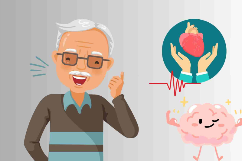 Não bộ và tim mạch cũng là cơ quan có nhu cầu năng lượng cao