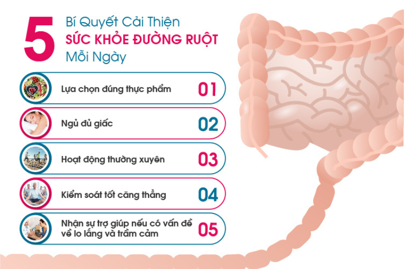 Hệ tiêu hóa khỏe mạnh là nền tảng quan trọng