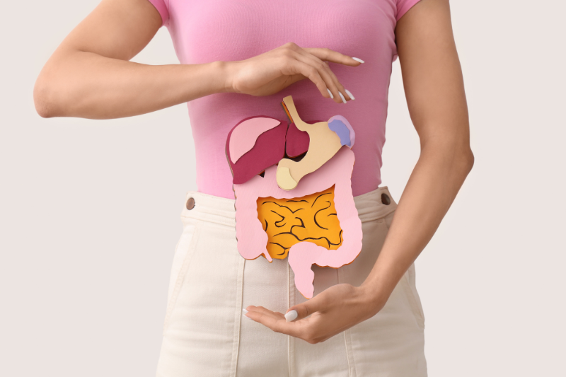 Hệ tiêu hóa khỏe mạnh giúp cơ thể có đủ dưỡng chất cần thiết
