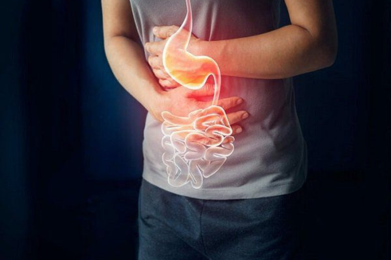 Càng lớn tuổi hệ tiêu hóa hoạt động càng kém hơn