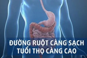 Mối liên hệ khoa học giữa sức khỏe đường ruột và tuổi thọ