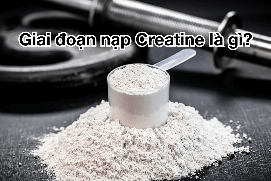 giai doan nap creatine