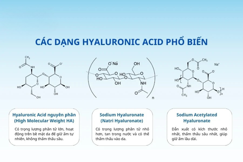 Hyaluronic Acid dạng trọng lượng phân tử cao