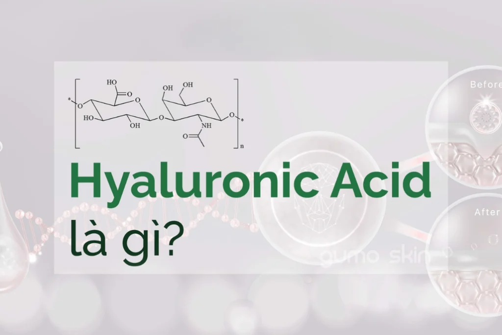 Hyaluronic Acid là gì và vì sao có mặt trong nhiều sản phẩm dưỡng ẩm?