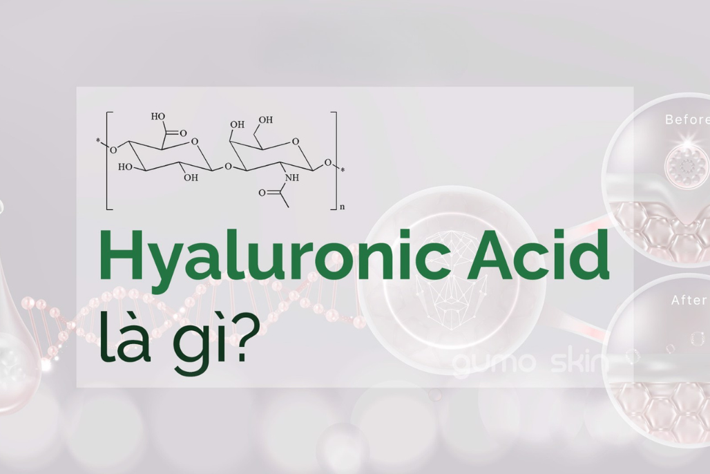 Hyaluronic Acid là gì và vì sao có mặt trong nhiều sản phẩm dưỡng ẩm? Hyaluronic Acid là gì và vì sao có mặt trong nhiều sản phẩm dưỡng ẩm?