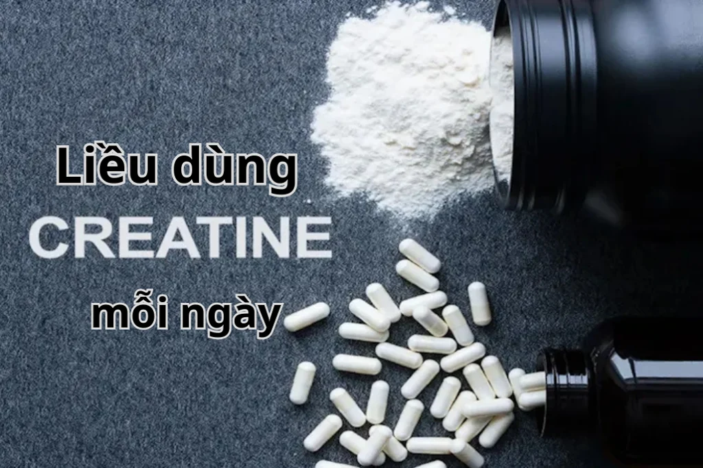 lieu dung creatine moi ngay