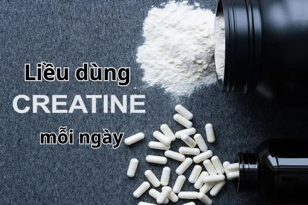 lieu dung creatine moi ngay