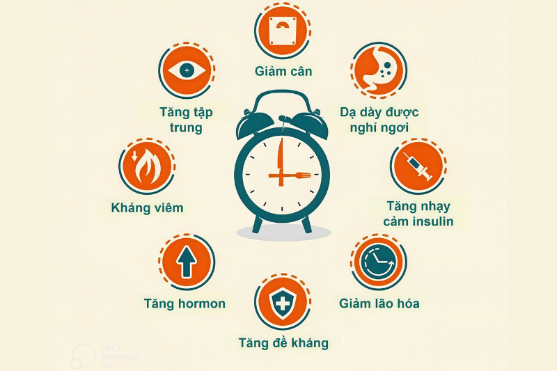 Mối liên hệ giữa nhịn ăn gián đoạn và NAD+ trong chống lão hóa 7 Nhịn ăn gián đoạn hỗ trợ quản lý năng lượng tế bào