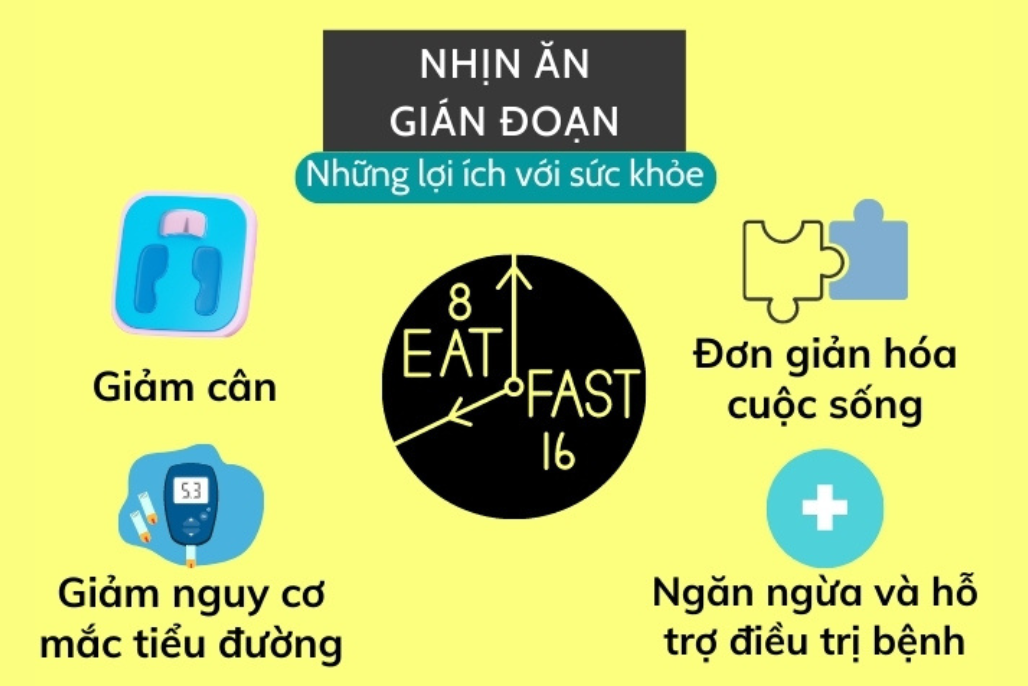 Mối liên hệ giữa nhịn ăn gián đoạn và NAD+ khi chống lão hóa Mối liên hệ giữa nhịn ăn gián đoạn và NAD+ khi chống lão hóa