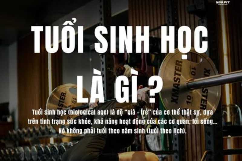 Tuổi sinh học là gì và khác biệt gì với tuổi thời gian 1 Tuổi sinh học là gì?