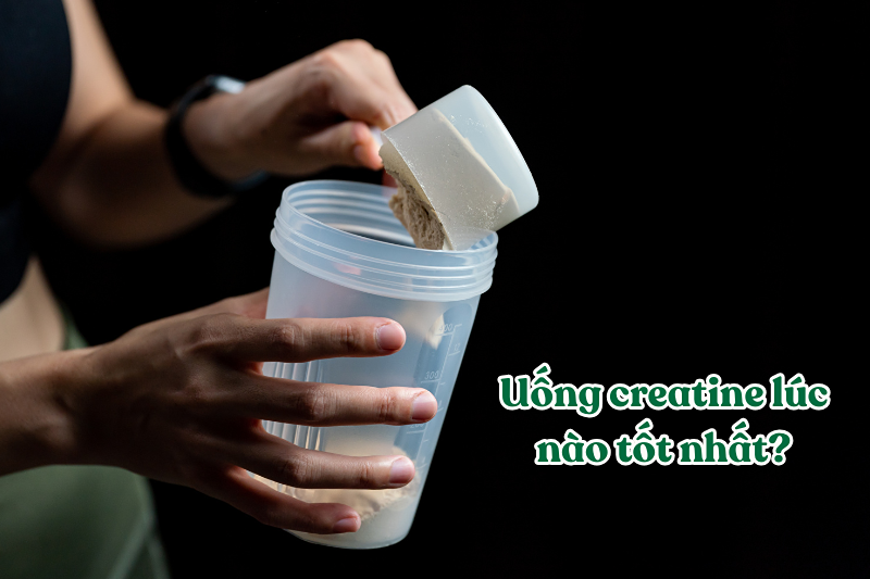 Đâu là thời điểm vàng để uống creatine trong ngay?