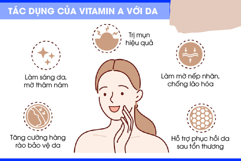 Khám phá những tác dụng chính của vitamin A cho da 1 Tác dụng của vitamin A với làn da là gì?