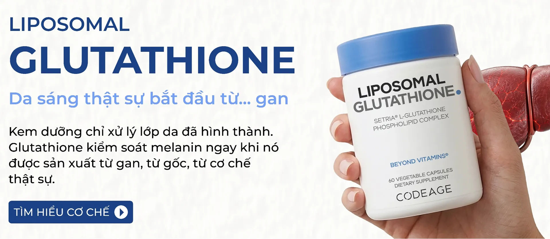 Da sáng bắt đầu từ ... gan