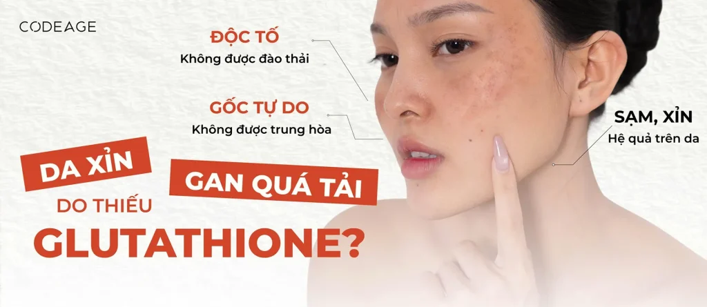 Mối quan hệ giữa glutathione và gan
