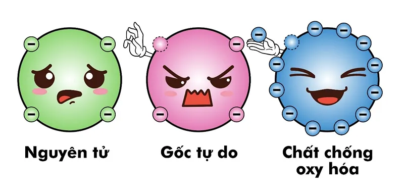 Tác dụng chống oxy hóa của Glutathione khi bổ sung đầy đủ 4 Stress oxy hóa thủ phạm của lão hóa nhanh và bệnh tật