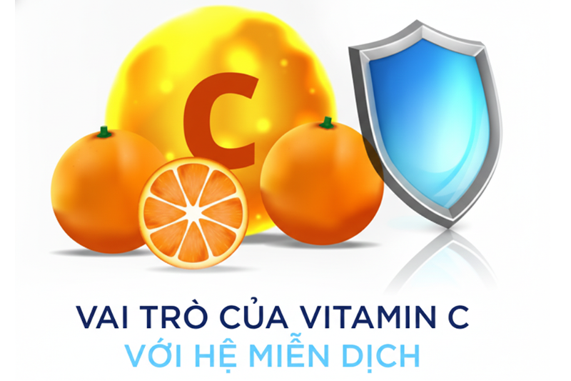 Vitamin C giúp củng cố hệ miễn dịch