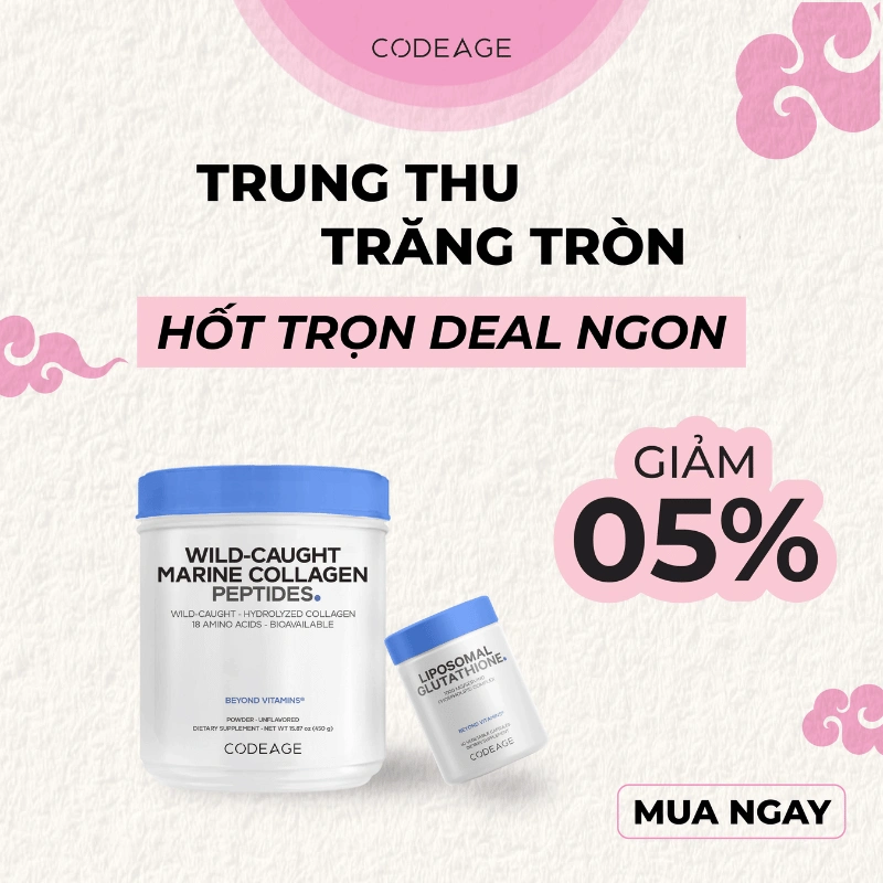 Khuyến mãi nhân dịp trung thu 25-09-2026