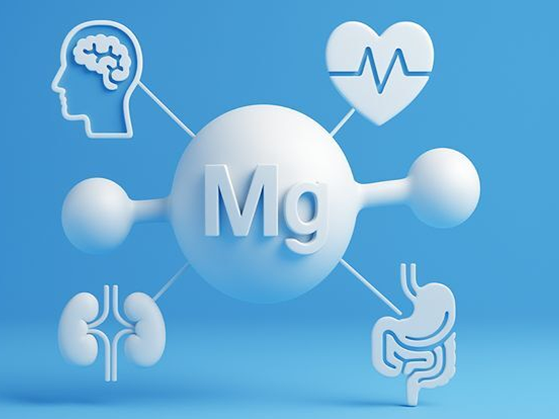 Magie tham gia vào nhiều cơ quan của cơ thể